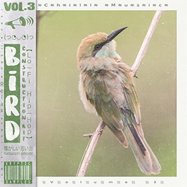BIRD VOL 3(オンライン納品)(2時間以内に納品)