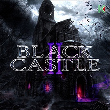BLACK CASTLE 2(オンライン納品)(2時間以内に納品)