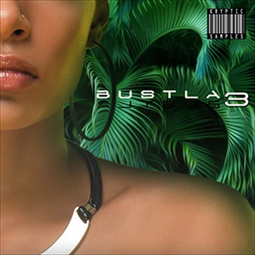 BUSTLA 3(オンライン納品)(2時間以内に納品)