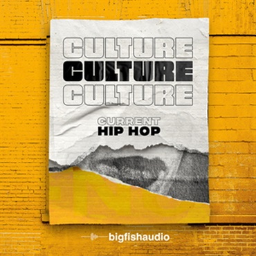 BIG FISH AUDIO CULTURE - CURRENT HIP HOP(オンライン納品)(2時間以内に納品)