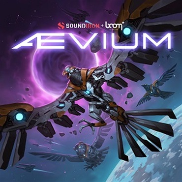 AEVIUM(オンライン納品)(2時間以内に納品)