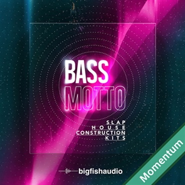 BIG FISH AUDIO BASS MOTTO - SLAP HOUSE CONSTRUCTION KITS MMT(オンライン納品)(2時間以内に納品)