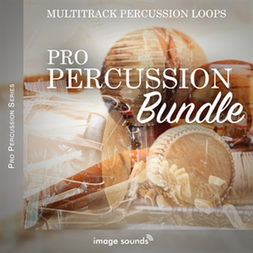 PRO PERCUSSION BUNDLE(オンライン納品)(2時間以内に納品)