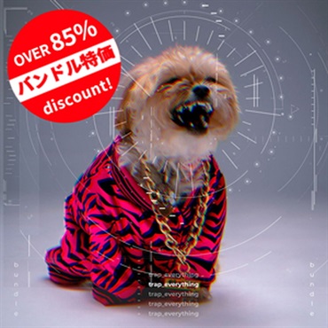 TRAP EVERYTHING BUNDLE(オンライン納品)(2時間以内に納品)