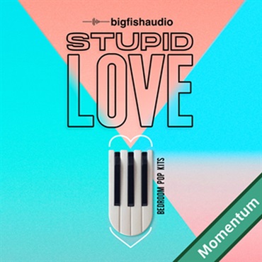BIG FISH AUDIO STUPID LOVE - BEDROOM POP KITS MMT(オンライン納品)(2時間以内に納品)
