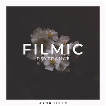 FILMIC - PSYTRANCE(オンライン納品)(2時間以内に納品)