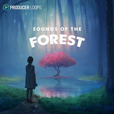 SOUNDS OF THE FOREST(オンライン納品)(2時間以内に納品)