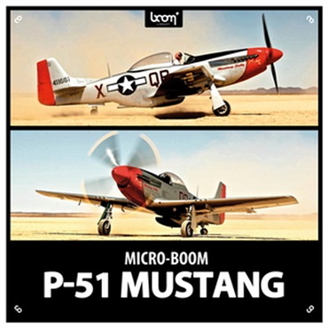 P-51 MUSTANG(オンライン納品)(2時間以内に納品)