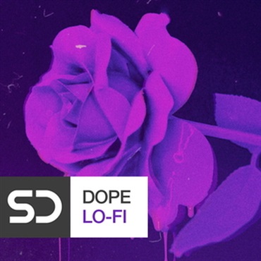 DOPE LO-FI(オンライン納品)(2時間以内に納品)
