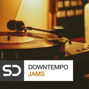 SAMPLE DIGGERS DOWNTEMPO JAMS(オンライン納品)(2時間以内に納品)