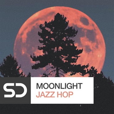 MOONLIGHT JAZZ HOP(オンライン納品)(2時間以内に納品)