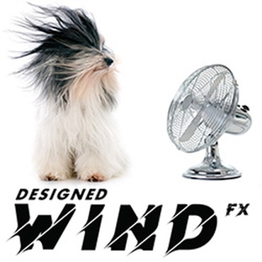 DESIGNED WIND FX(オンライン納品)(2時間以内に納品)