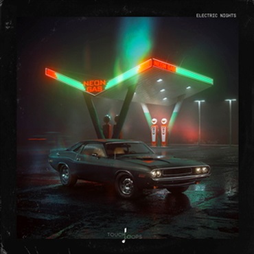 ELECTRIC NIGHTS(オンライン納品)(2時間以内に納品)
