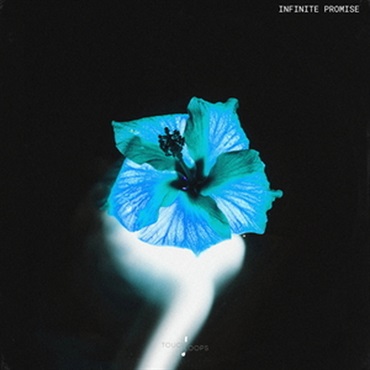 INFINITE PROMISE(オンライン納品)(2時間以内に納品)