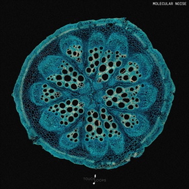 TOUCH LOOPS MOLECULAR NOISE(オンライン納品)(2時間以内に納品)