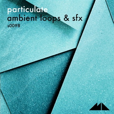 PARTICULATE(オンライン納品)(2時間以内に納品)