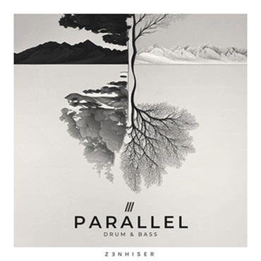 PARALLEL - DRUM & BASS(オンライン納品)(2時間以内に納品)
