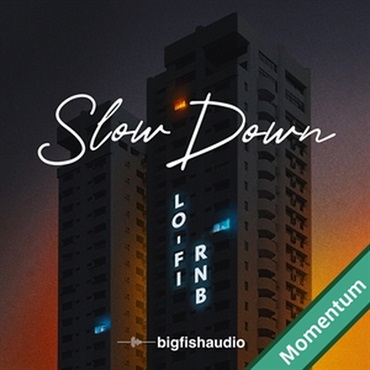 SLOW DOWN - LO-FI RNB(オンライン納品)(2時間以内に納品)