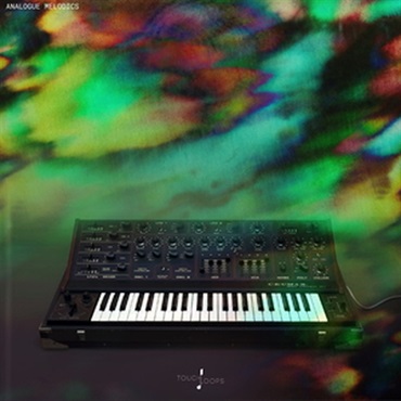 TOUCH LOOPS ANALOGUE MELODICS(オンライン納品)(2時間以内に納品)