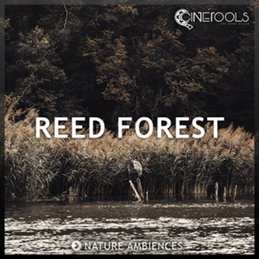 CINETOOLS REED FOREST(オンライン納品)(2時間以内に納品)