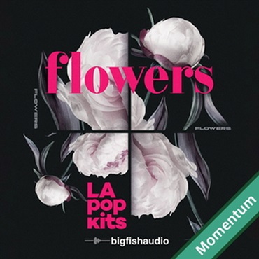 BIG FISH AUDIO FLOWERS - LA POP KITS(オンライン納品)(2時間以内に納品)
