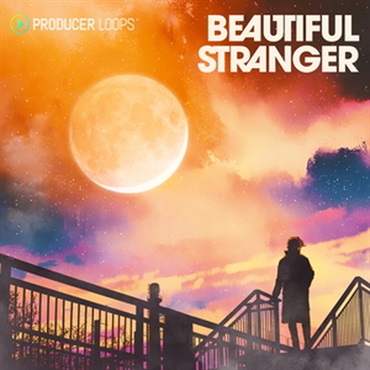 BEAUTIFUL STRANGER(オンライン納品)(2時間以内に納品)