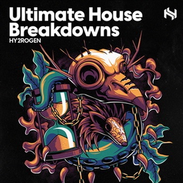 ULTIMATE HOUSE BREAKDOWNS(オンライン納品)(2時間以内に納品)