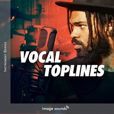 VOCAL TOPLINES(オンライン納品)(2時間以内に納品)