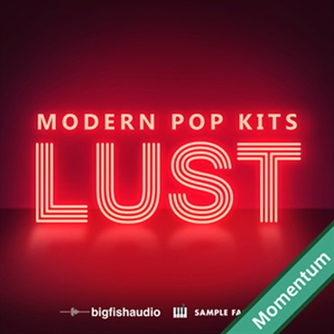 BIG FISH AUDIO LUST - MODERN POP KITS(オンライン納品)(2時間以内に納品)