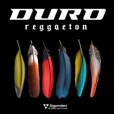DURO REGGAETON(オンライン納品)(2時間以内に納品)