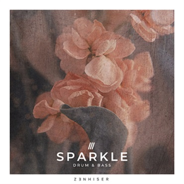 SPARKLE - DRUM & BASS(オンライン納品)(2時間以内に納品)