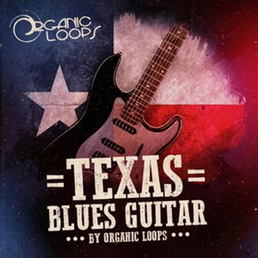 TEXAS BLUES GUITAR(オンライン納品)(2時間以内に納品)