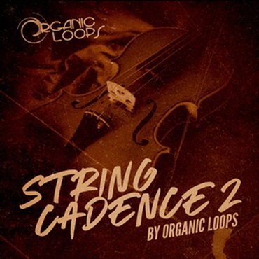STRING CADENCE 2(オンライン納品)(2時間以内に納品)