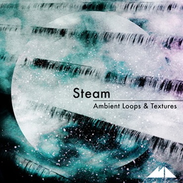 MODEAUDIO STEAM(オンライン納品)(2時間以内に納品)