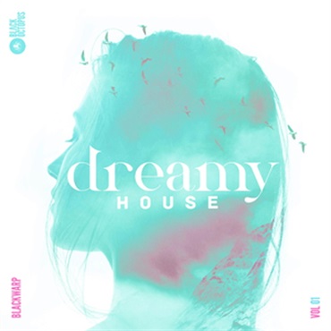 DREAMY HOUSE VOL.1(オンライン納品)(2時間以内に納品)