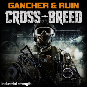 GANCHER & RUIN CROSSBREED(オンライン納品)(2時間以内に納品)