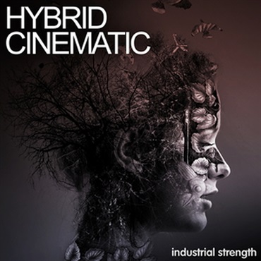HYBRID CINEMATIC(オンライン納品)(2時間以内に納品)