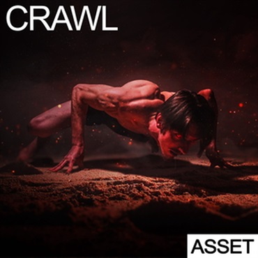 CRAWL - ASSET(オンライン納品)(2時間以内に納品)