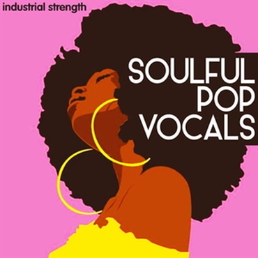INDUSTRIAL STRENGTH SOULFUL POP VOCALS(オンライン納品)(2時間以内に納品)