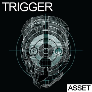 TRIGGER - ASSET(オンライン納品)(2時間以内に納品)