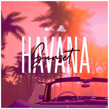 BASEMENT FREAKS PRESENTS HAVANA SUNSET(オンライン納品)(2時間以内に納品)