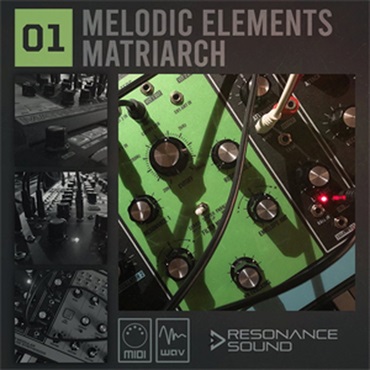 MELODIC ELEMENTS 01 - MATRIARCH(オンライン納品)(2時間以内に納品)