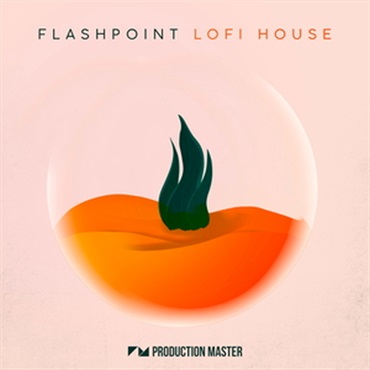 FLASHPOINT - LOFI HOUSE(オンライン納品)(2時間以内に納品)