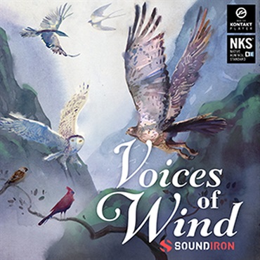 VOICE OF WIND: COLLECTION(オンライン納品)(2時間以内に納品)
