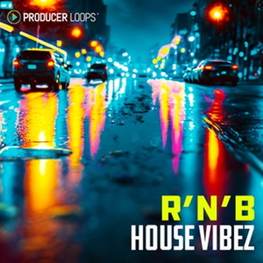 R&B HOUSE VIBEZ(オンライン納品)(2時間以内に納品)