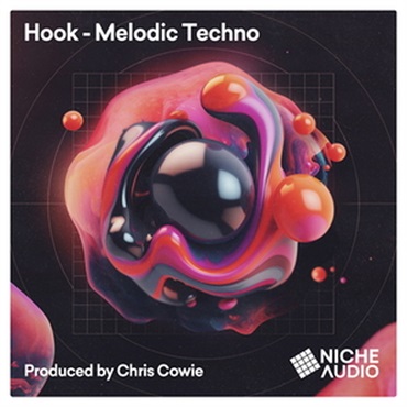 HOOK - MELODIC TECHNO(オンライン納品)(2時間以内に納品)