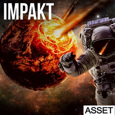 IMPAKT - ASSET(オンライン納品)(2時間以内に納品)