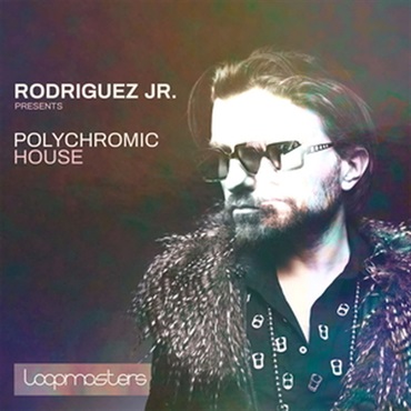 RODRIGUEZ JR. - POLYCHROMIC HOUSE(オンライン納品)(2時間以内に納品)