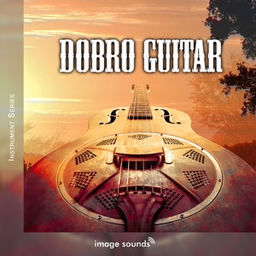 DOBRO GUITAR(オンライン納品)(2時間以内に納品)