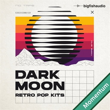 BIG FISH AUDIO DARK MOON - RETRO POP KITS MMT(オンライン納品)(2時間以内に納品)